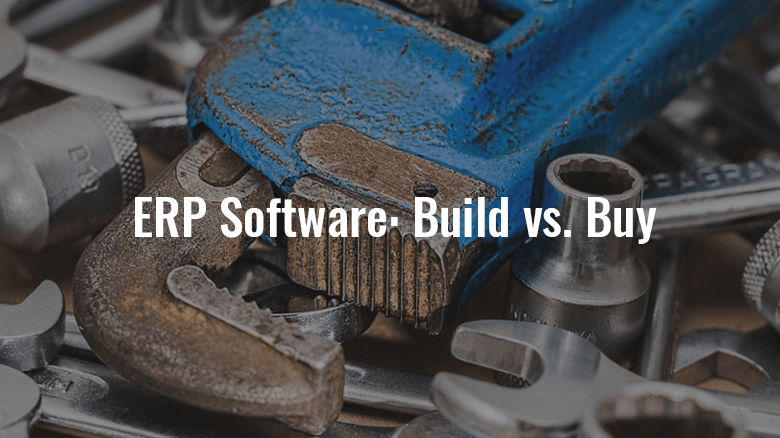 ERP Software Build vs Buy